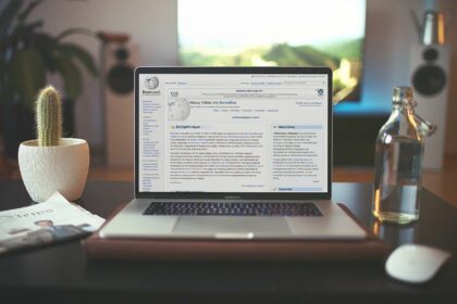 Γιατί η Wikipedia εμφανίζεται πάντα πρώτη στην Google 4