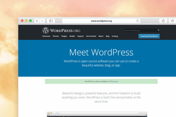 Ότι χρειάζεται να γνωρίζουν οι επιχειρήσεις για το WordPress